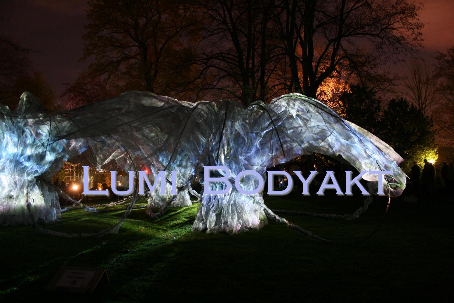 Lumi 45