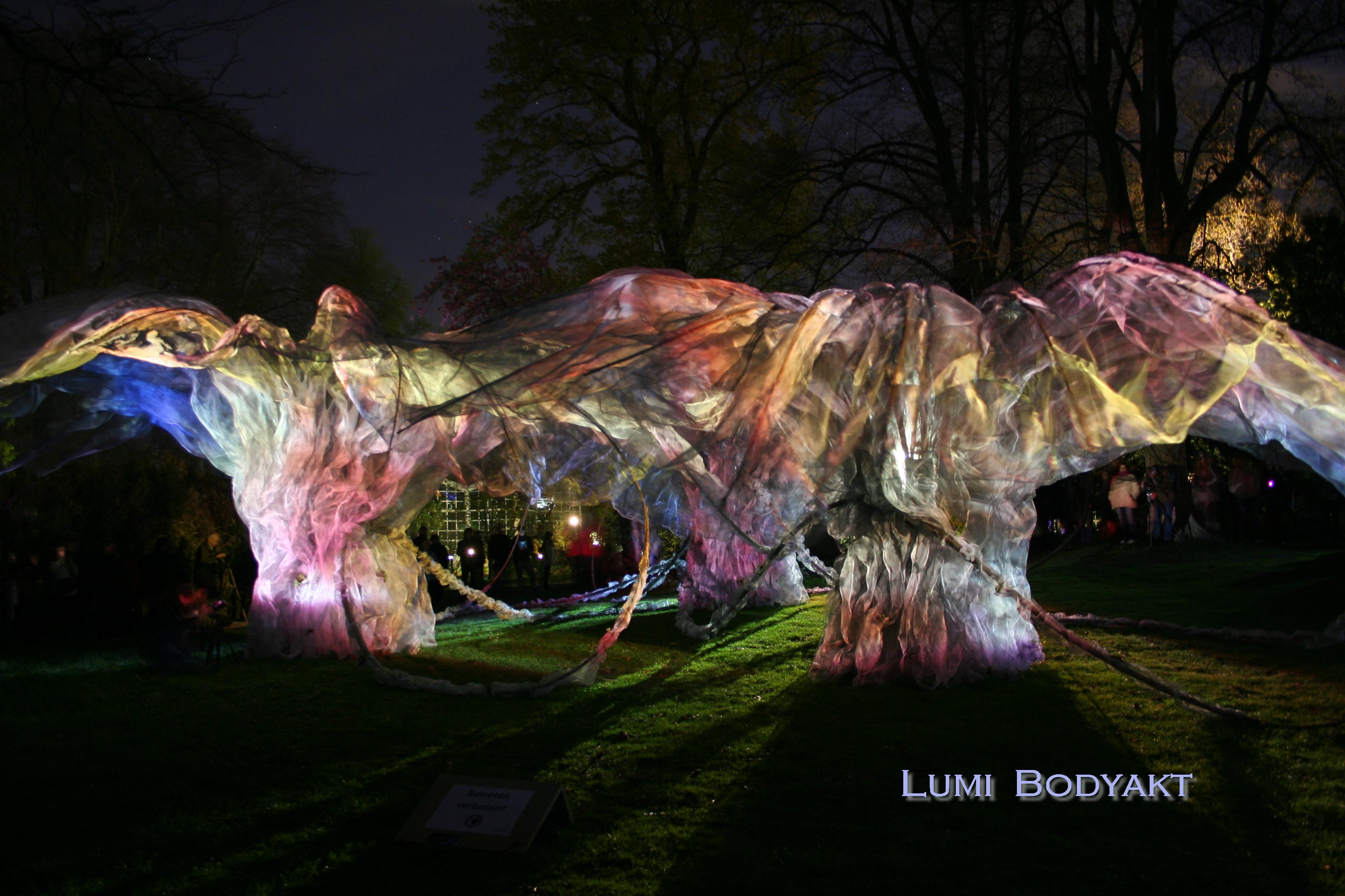 Lumi 49